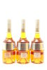 (3) Marie Brizard Curacao Orange Liqueur, France, 30% ABV 700ml - 2