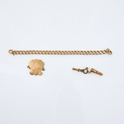 9ct Yellow Gold, Medallion and Curb Chain Attachment