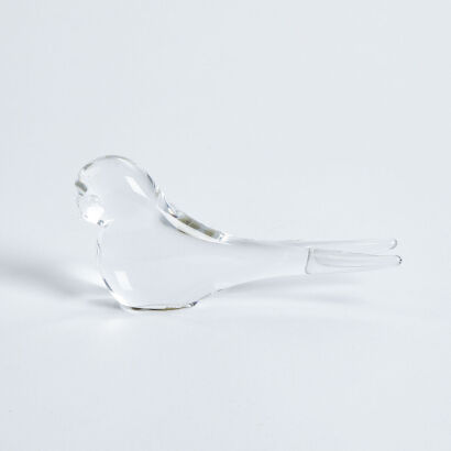 A Glass Swallow