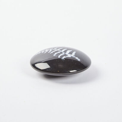 A Peter Raos C2092 Black And White Paperweight With NZ Fern Decoration