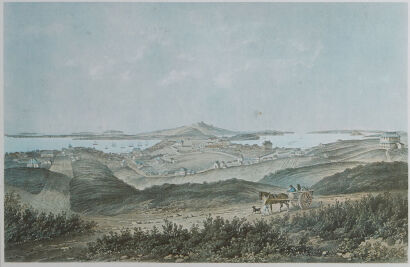 P J HOGAN No.1 Auckland New Zealand from Hobson Street South