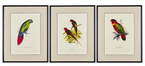Three Reproduction Plates from John Gould's The Birds of New Guinea Vol 5, 1875