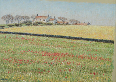 IAN R. HAMLIN Summer Fields (County Durham, England)