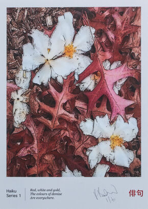 PETER BROMHEAD Haiku Series 1: "Red, white gold, The colours of demise re everywhere."