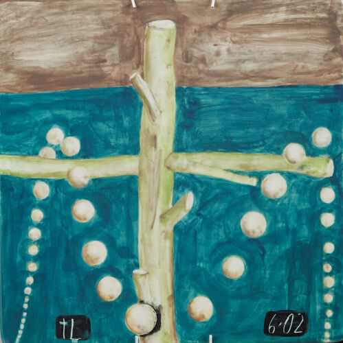 TONY LANE untitled