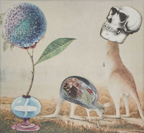 WAYNE YOULE Botanic in Nature