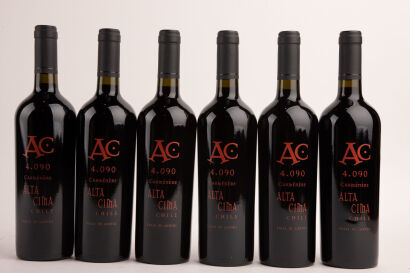 *(6) 2016 Alta Cima Carmenere, Lontue Valley, Chile