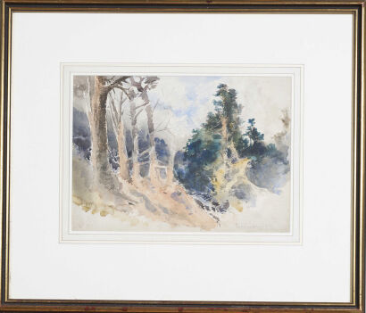 ARTIST UNKNOWN Bush In The Hollyford Valley Watercolour