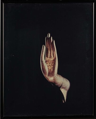 BRIAN BRAKE Buddha's Hand