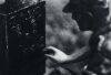RONNIE VAN HOUT Radioman