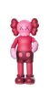 KAWS Companion