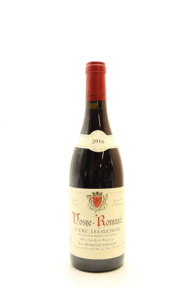 (1) 2016 Alain Hudelot-Noellat Les Suchots, Vosne-Romanee Premier Cru [JR17.5]