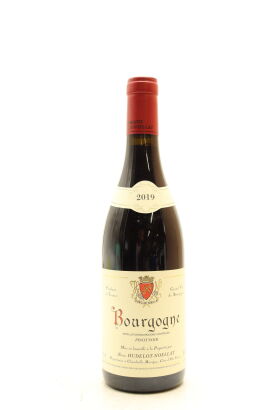 (1) 2019 Alain Hudelot-Noellat Bourgogne Rouge, Burgundy