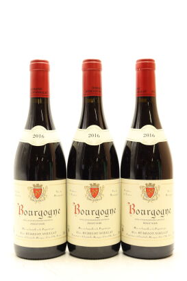 (3) 2016 Alain Hudelot-Noellat Bourgogne Rouge, Burgundy