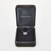 Tiffany & Co.’s Montana Platinum, .25ct Sapphire and .10ct Diamond Pendant with Box - 2