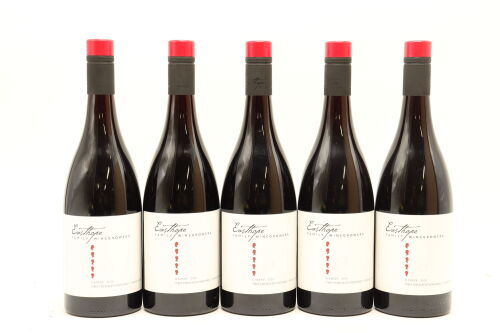 (5) 2021 Easthope Family Winegrowers Two Terraces Vineyard Gamay, Hawke's Bay