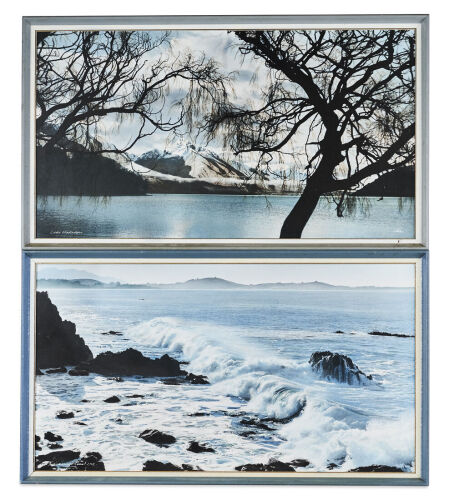 A Pair of Whites Photographic Prints