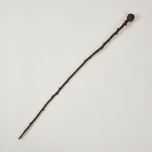 A Fijian Treestock Walking Stick