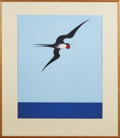 DON BINNEY Pacific Frigate Bird Print