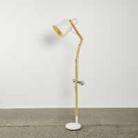 A Contemporary Floor Standing Lamp