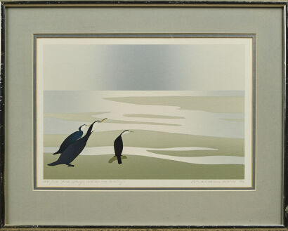MALCOLM WARR Pied Shags Waikanae Estruary