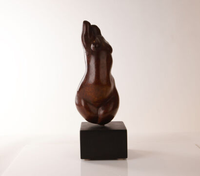 Kitty Blandy - Female Body
