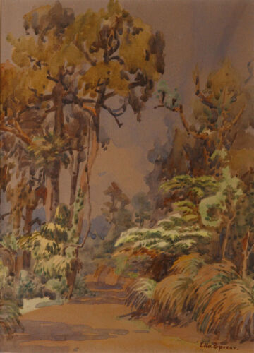 Ella Spicer -&nbsp;Waitakere Ranges&nbsp;