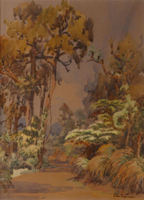 Ella Spicer -&nbsp;Waitakere Ranges&nbsp;