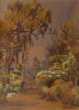 Ella Spicer -&nbsp;Waitakere Ranges&nbsp;