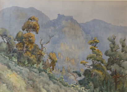 Ella Spicer -&nbsp;Waitakere Ranges