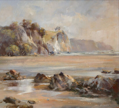 Lance O'Gorman - Hibiscus Coastline