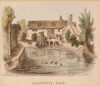 A Suite of Five Late-19th Century Hand-Colored Etchings - 3