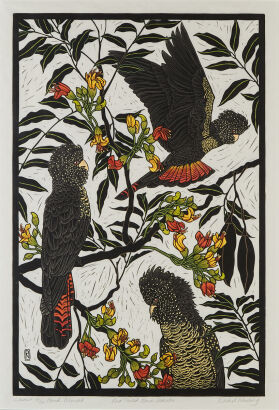 RACHEL NEWLING Red Tailed Black Cockatoo