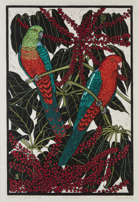 RACHEL NEWLING King Parrot