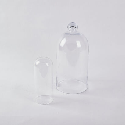 A Pair Of Glass Marriage Domes