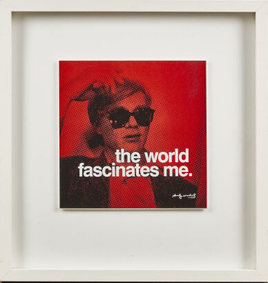 Andy Warhol The World Fascinates Me Print