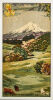 A Mid-Century Feltex Picture Rug Of Mt Taranaki C1958