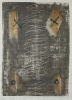 PETER PANYCOCZKI Untitled
