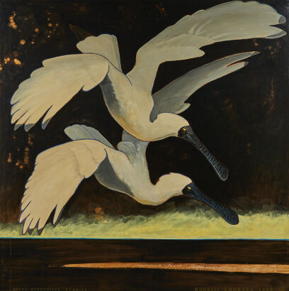 RUSSELL JACKSON Royal Spoonbills - Okarito