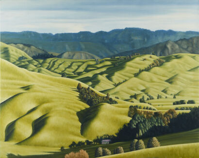 D B G GOODWIN Autumn Hills, Central North Island