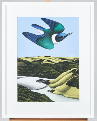 DON BINNEY Swoop of the Kotare Print