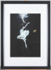 Underwater Ballerina Photographic Print