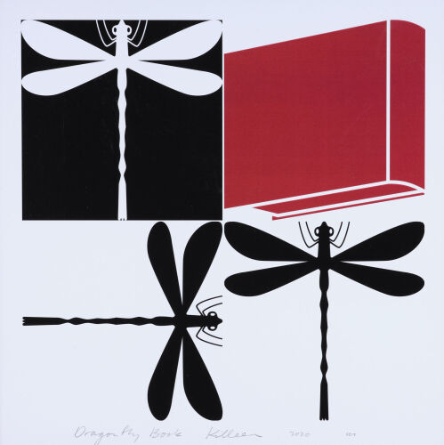 RICHARD KILLEEN Dragonfly Book