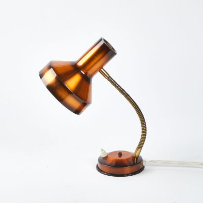 An Anodised Aluminium Gooseneck Bedside Lamp