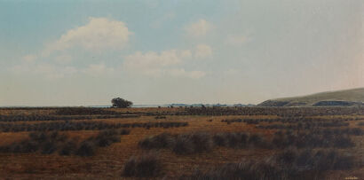 ANDREW COATES Grasses Near Ellesmere