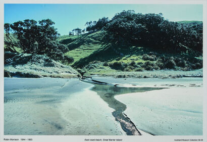 ROBIN MORRISON East Coast Beach, Great Barrier Island