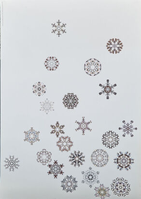 ARTIST UNKNOWN Each Snowflake Image Collected From a Day in 2004