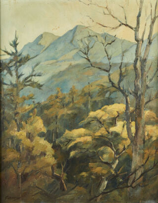 JOYCE MCMURTY The Feel of the Bush