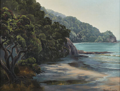 DAVID LEWIS Ōtarawairere Bay, Whakatāne