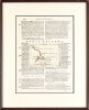 V. Coronelli - Map of New Zealand&nbsp;